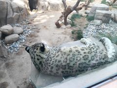 -青藏高原野生动物园