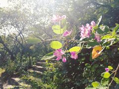 -米斯特比萨(亦庄国融国际店)