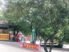 -满記土窑烧鷄波浪山莊