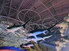 -烟台海昌鲸鲨海洋公园