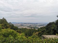 -火炉山森林公园