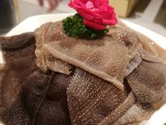 捞派脆脆毛肚-海底捞火锅(上地华联店)