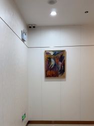 -AIST爱思特医疗美容医院