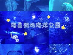-海合安武汉极地海洋公园
