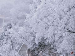 -洛阳白云山景区