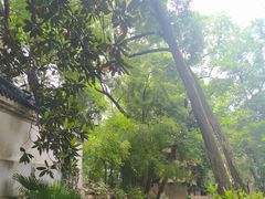 -岳麓山风景名胜区