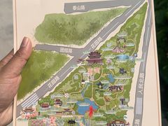 -曹州牡丹园