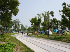 -南汇嘴观海公园