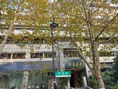 -青藤茶馆(南山路店)