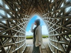 -南汇嘴观海公园