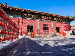 -天津大悲禅院