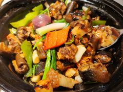-大榕树下顺德菜(融创茂店)