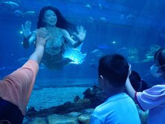 -华夏文旅海洋公园