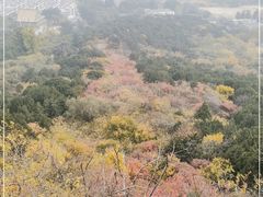 -北京西山国家森林公园