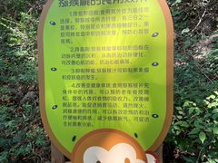 -大岭沟猕猴桃谷风景区