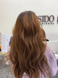 -YESIDO椰岛造型