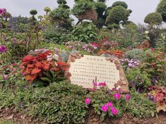 -南宁南湖公园