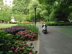 -徐家汇源景区-衡山公园