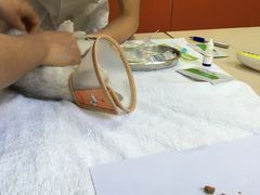 -惠康宠物医院(华能路店)