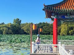 -长春市南湖公园