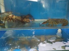 -胶东海鲜大排档(北太平庄店)