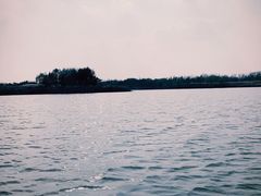 -盐城丹顶鹤湿地生态旅游区