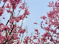 -梁鸿国家湿地公园