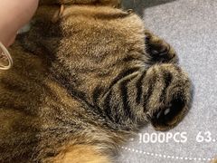 -猫的天空之城概念书店(杭州南宋御街店)