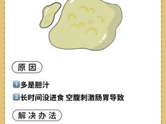 -睿金宠物医院·CT·肿瘤·骨外科