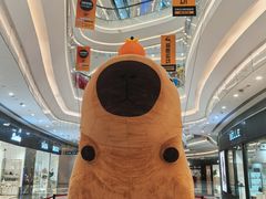 -银泰百货(厦门国贸中心店)