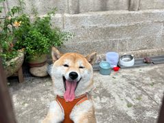 -溪岸路花鸟市场