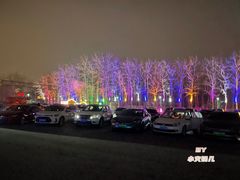 -枫花园汽车电影院(朝阳公园店)