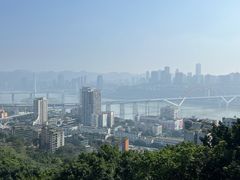 -Mint Gelato(二厂店)