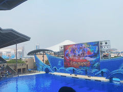 -上海海昌海洋公园