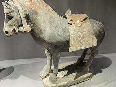 -大同市博物馆