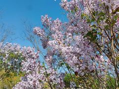 -野鸭湖国家湿地公园