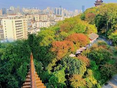 -黄鹤楼公园(黄鹤楼)