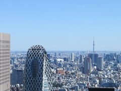 -东京都厅舍