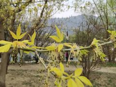 -国家植物园南园