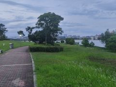 -九龙湖公园