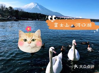 富士山脚下河口湖散步  东京旅游的寶子们、富士山也是