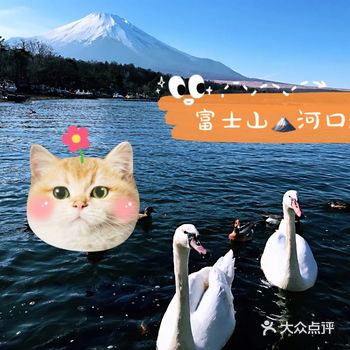 富士山脚下河口湖散步  东京旅游的寶子们、富士山也是