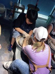 -川上陶艺社(大悦城店)