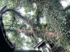 -星巴克(福州三坊七巷店)