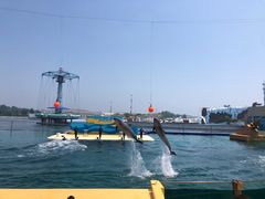 -秦皇岛乐岛海洋王国