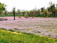 -汉长安城未央宫国家考古遗址公园