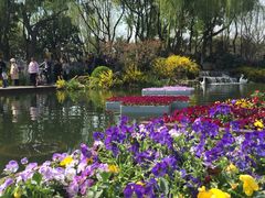 -圩墩遗址公园
