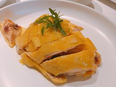 白切鸡-玫瑰厅上海菜(兴国路店)