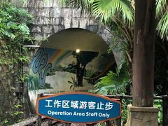 -东部华侨城