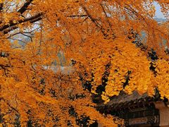 -青岛崂山太清宫
